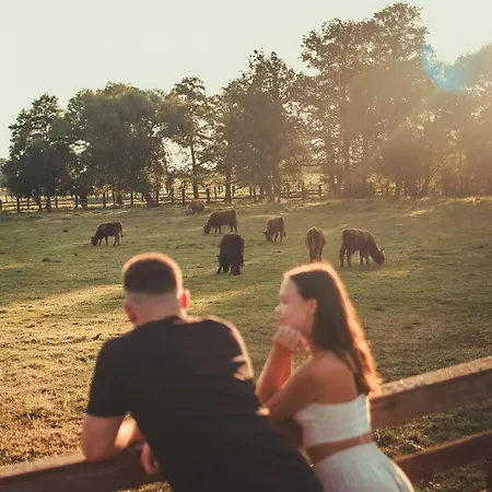 Krovacja - Caloroczne W Puszczy Noteckiej Ferienhaus Debogora