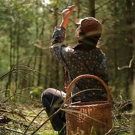 Krovacja - Caloroczne W Puszczy Noteckiej