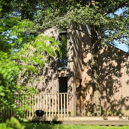 Krovacja - Caloroczne W Puszczy Noteckiej Debogora