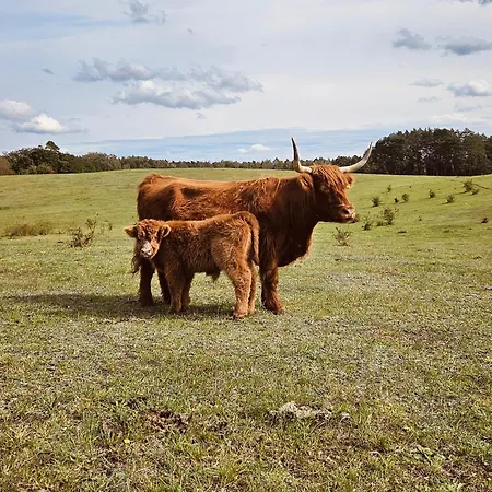 Ferienhaus Krovacja - Caloroczne W Puszczy Noteckiej
