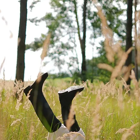 Krovacja - Caloroczne W Puszczy Noteckiej Nyaraló