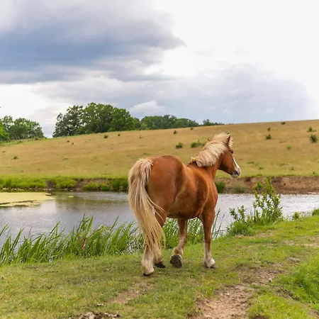 Krovacja - Caloroczne W Puszczy Noteckiej Nyaraló *