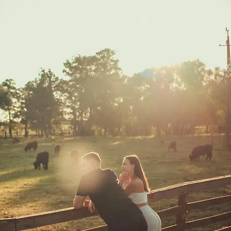 Krovacja - Caloroczne W Puszczy Noteckiej Ferienhaus Debogora