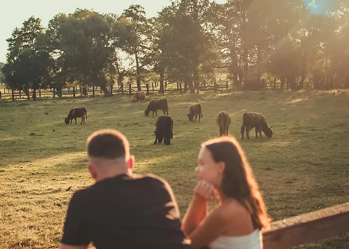 Krovacja - Caloroczne W Puszczy Noteckiej Holiday home Debogora