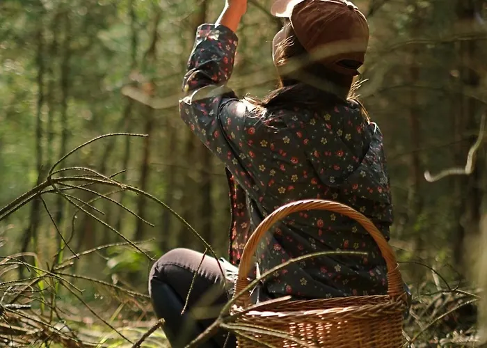 Krovacja - Caloroczne W Puszczy Noteckiej