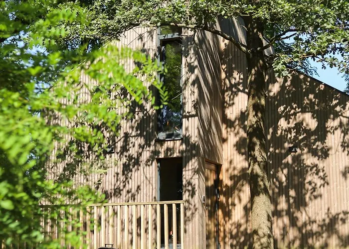 Krovacja - Caloroczne W Puszczy Noteckiej Debogora