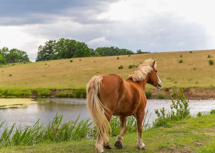 Krovacja - Caloroczne W Puszczy Noteckiej Holiday home *