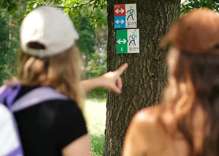 Krovacja - Caloroczne W Puszczy Noteckiej * Debogora