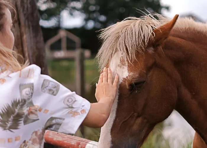 Krovacja - Caloroczne W Puszczy Noteckiej Holiday home