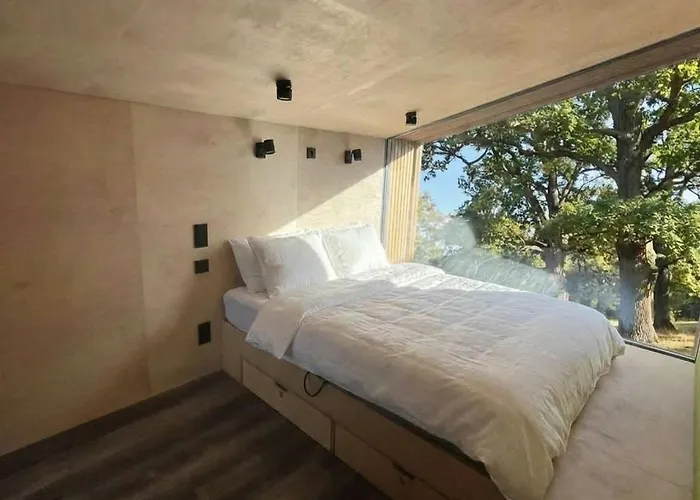 Krovacja - Caloroczne W Puszczy Noteckiej Debogora